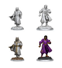 Critical Role Minis - WV3 MALE SORCERER MERCHANT/TIGR